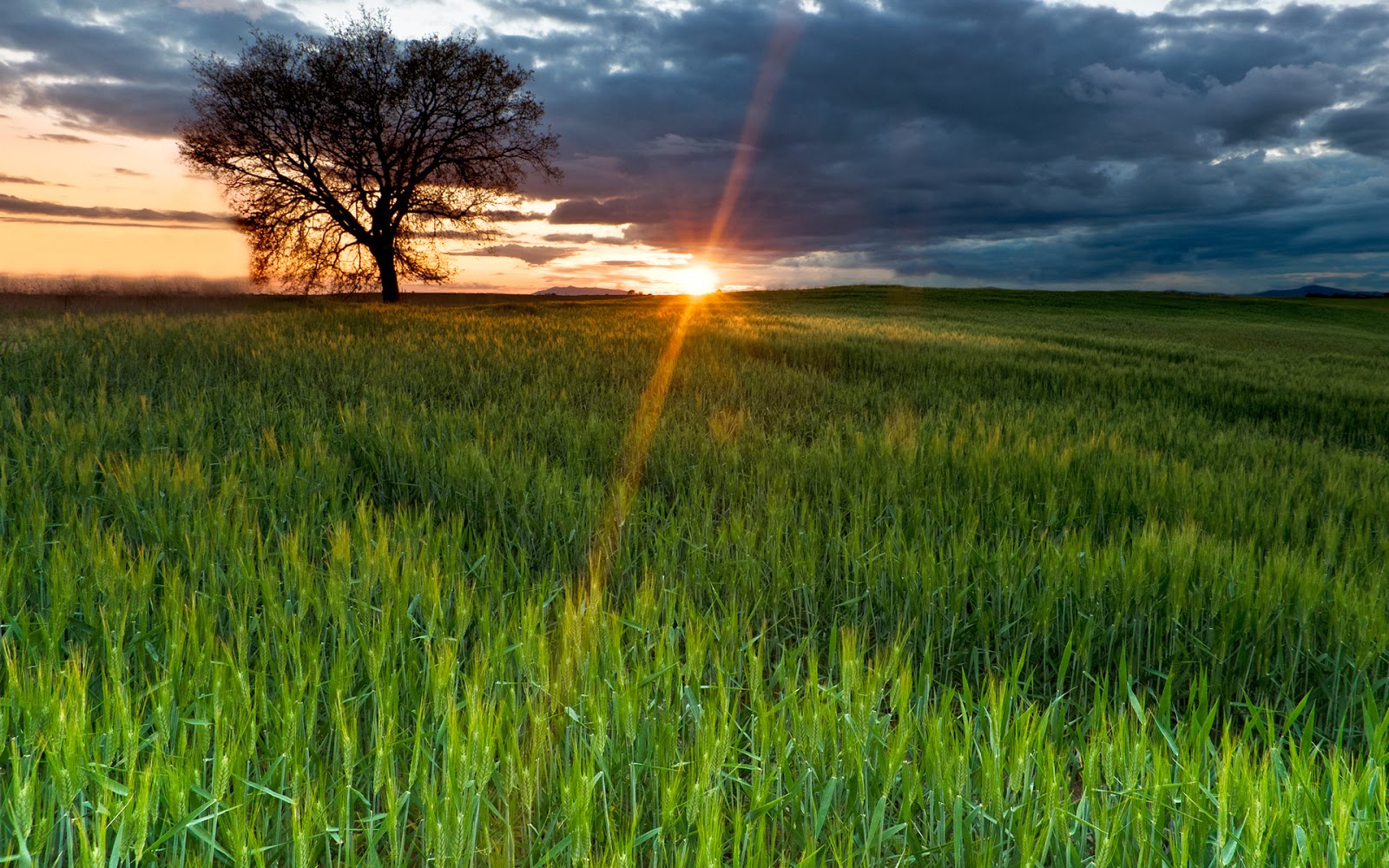 DESKTOP HD WALLPAPERS: HIGH DEFINITION NATURE WALLPAPERS 2013